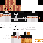 NewSpringFrosch classic skin texture