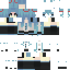 iSoldCoins classic skin texture