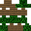 Astrxlis classic skin texture