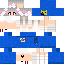 Destroyed1101 classic skin texture