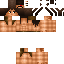 Chicosaa classic skin texture
