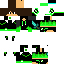 GreenGamer100 classic skin texture