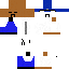 DrPolizei classic skin texture