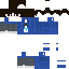 TimidSnow classic skin texture