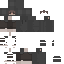 JayTheHomie classic skin texture