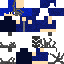 AceMission20 classic skin texture
