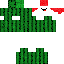 RaccoonFlash Minecraft skin preview