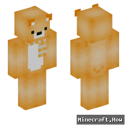 xolr