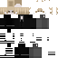 2f2f_ Minecraft skin preview