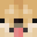 CoolGuy1725 classic skin texture