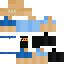 GuiPui Minecraft skin preview