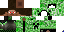 FemWout Minecraft skin preview