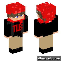 The_Lionbuilder