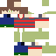 Nintendo_user96 Minecraft skin preview