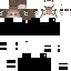 RlT0 Minecraft skin preview