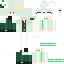 wolfenox1_ Minecraft skin preview