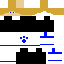 Thecrazycat39 Minecraft skin preview
