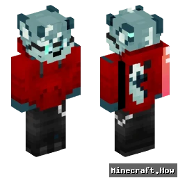 SkyArctic