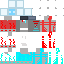 drukol Minecraft skin preview