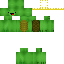 Turtlezest Minecraft skin preview