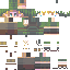 finny2 Minecraft skin preview