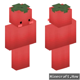 aktiverbus