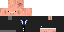 pigcakees Minecraft skin preview