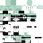 batreris Minecraft skin preview
