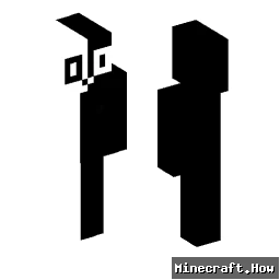 randomguy0_0