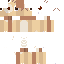 dim1y classic skin texture