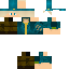 aRoxGS classic skin texture