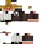 Dylan_kt classic skin texture