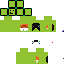 salmon_nemo Minecraft skin preview