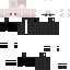 DragMC Minecraft skin preview