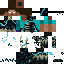 JareBearX classic skin texture