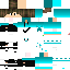 Nimrod911pro classic skin texture