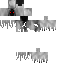 Lopeom classic skin texture