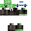 AutumnCicada classic skin texture