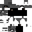 Ziner48 Minecraft skin preview