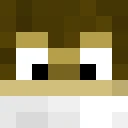 Degus classic skin texture