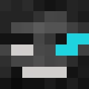 ForthLoyalty classic skin texture