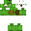 Shiplap Minecraft skin preview