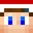 T4LON classic skin texture