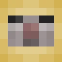 CastTortoise85 classic skin texture