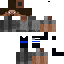 FordCrownVic classic skin texture