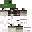 applesace Minecraft skin preview