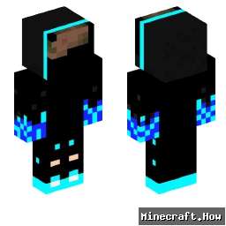 ProKiwi2