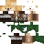 VirtualDoge Minecraft skin preview