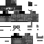 Agent_Quackers69 classic skin texture