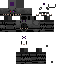 Draikgon2 Minecraft skin preview